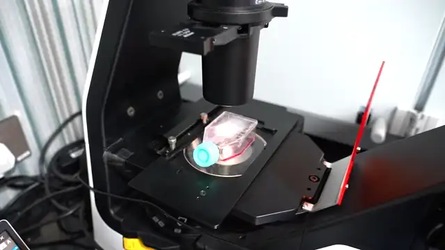 Loop from the Bioprinting Laboratory: a culture flask under the microscope, multichannel plating and a liver spheroid in a tube